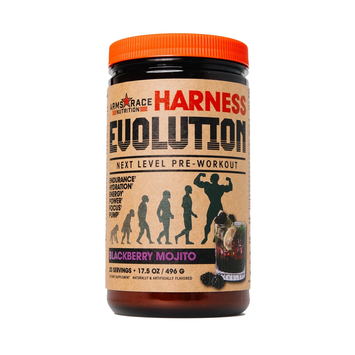 ARMS RACE NUTRITION HARNESS EVOLUTION-Blackberry Mojito