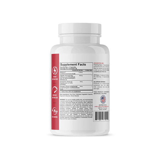 LIKE A PRO-Anytime Burn V2